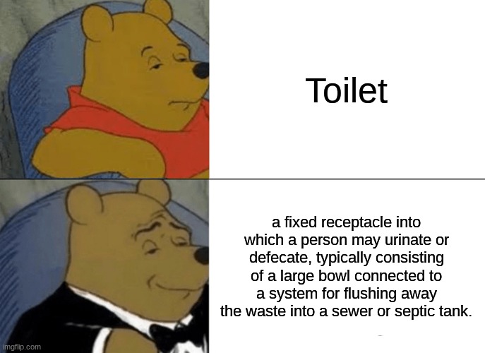 toilets credit (google) | Toilet; a fixed receptacle into which a person may urinate or defecate, typically consisting of a large bowl connected to a system for flushing away the waste into a sewer or septic tank. | image tagged in memes,tuxedo winnie the pooh | made w/ Imgflip meme maker