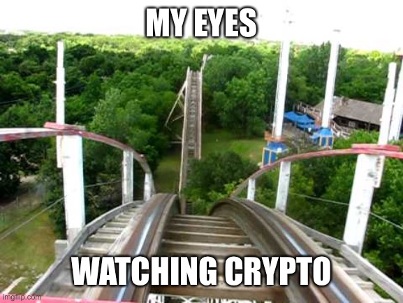 Roller Coaster | MY EYES; WATCHING CRYPTO | image tagged in roller coaster | made w/ Imgflip meme maker