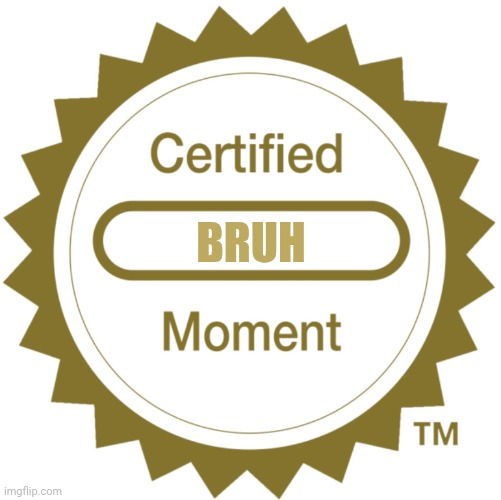 Certified Moment | BRUH | image tagged in certified moment | made w/ Imgflip meme maker