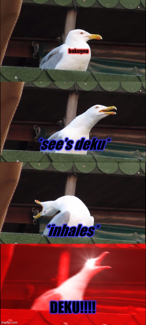 I don't have to explain. | bakugou; *see's deku*; *inhales*; DEKU!!!! | image tagged in memes,inhaling seagull | made w/ Imgflip meme maker