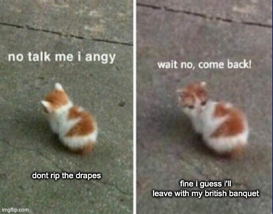 No talk me I angy, wait no, come back! | dont rip the drapes fine i guess i'll leave with my british banquet | image tagged in no talk me i angy wait no come back | made w/ Imgflip meme maker