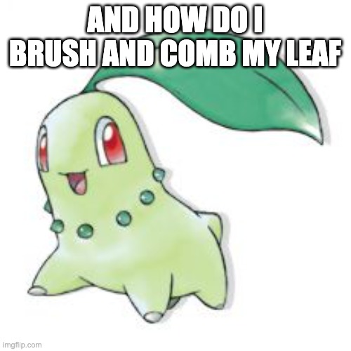 Chikorita | AND HOW DO I BRUSH AND COMB MY LEAF | image tagged in chikorita | made w/ Imgflip meme maker