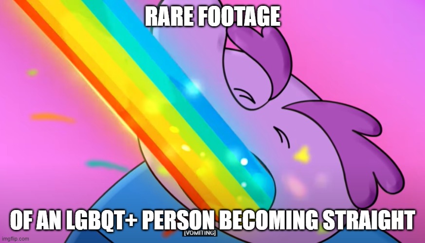 Rare footage | RARE FOOTAGE; OF AN LGBQT+ PERSON BECOMING STRAIGHT | image tagged in lgbtq,fake news | made w/ Imgflip meme maker