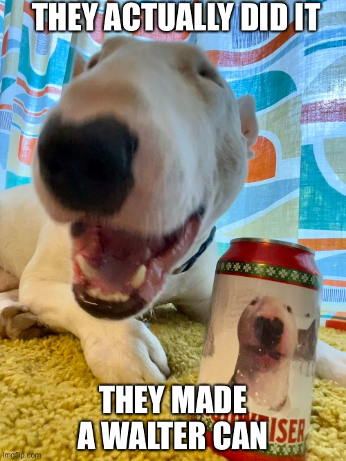 LOOK AT MA HOMIE GOOOOO | THEY ACTUALLY DID IT; THEY MADE A WALTER CAN | made w/ Imgflip meme maker