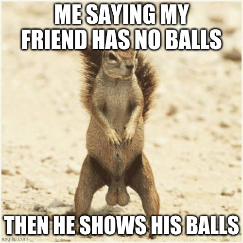 DEEZ NUTS | ME SAYING MY FRIEND HAS NO BALLS; THEN HE SHOWS HIS BALLS | image tagged in deez nuts | made w/ Imgflip meme maker
