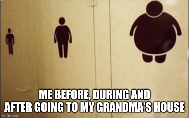 ME BEFORE, DURING AND AFTER GOING TO MY GRANDMA'S HOUSE | image tagged in grandma | made w/ Imgflip meme maker