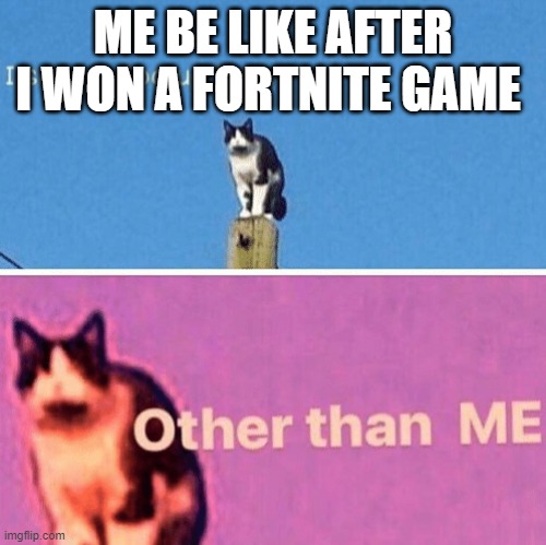 Hail pole cat | ME BE LIKE AFTER I WON A FORTNITE GAME | image tagged in hail pole cat | made w/ Imgflip meme maker