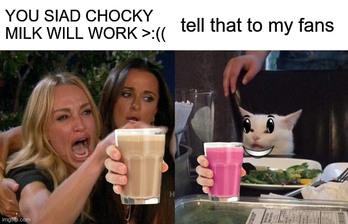yall said CHOKY MILK WLL WORK >:((( | YOU SIAD CHOCKY MILK WILL WORK >:((; tell that to my fans | image tagged in memes,woman yelling at cat | made w/ Imgflip meme maker