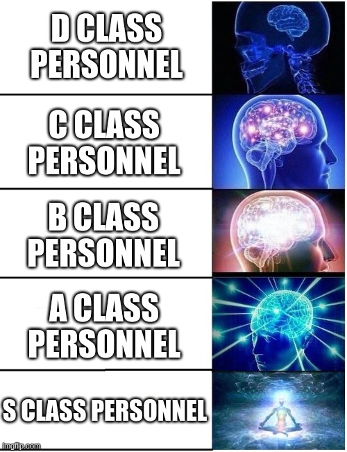 Yeah this is big brain time | D CLASS PERSONNEL; C CLASS PERSONNEL; B CLASS PERSONNEL; A CLASS PERSONNEL; S CLASS PERSONNEL | image tagged in expanding brain 5 panel | made w/ Imgflip meme maker