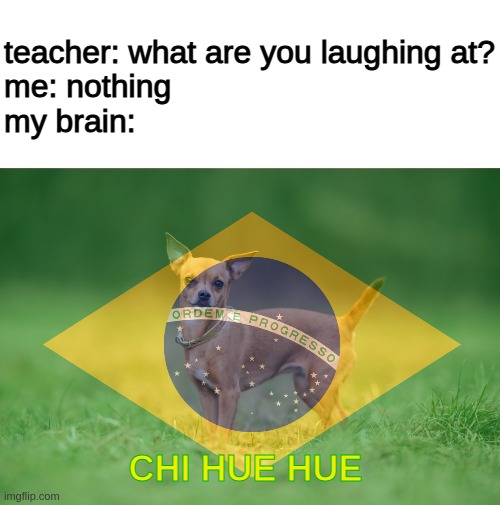 chi hua hua is going to brazil lol | teacher: what are you laughing at?
me: nothing
my brain:; CHI HUE HUE | image tagged in brazil,you're going to brazil,chihuahua,dog,memes,teacher what are you laughing at | made w/ Imgflip meme maker