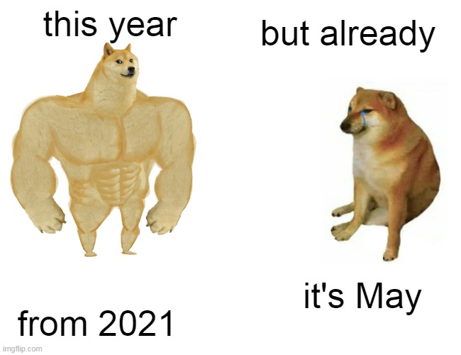 #sonho. | but already; this year; it's May; from 2021 | image tagged in memes,buff doge vs cheems | made w/ Imgflip meme maker