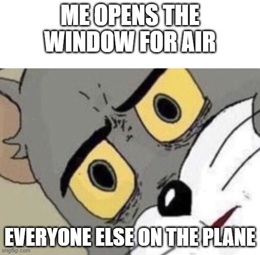 ... | ME OPENS THE WINDOW FOR AIR; EVERYONE ELSE ON THE PLANE | image tagged in me everyone else | made w/ Imgflip meme maker