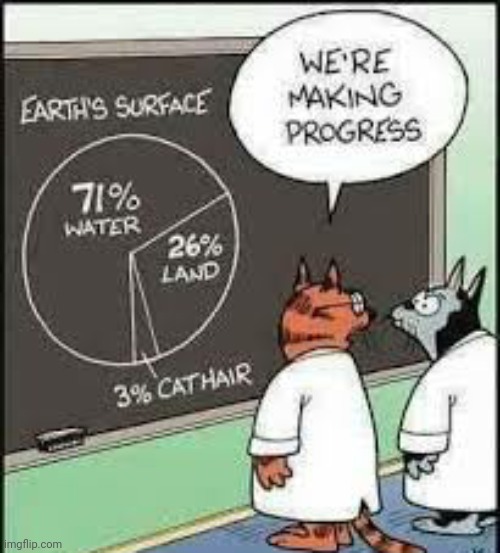 Lol | image tagged in comics/cartoons,funny,cats,animals,points | made w/ Imgflip meme maker