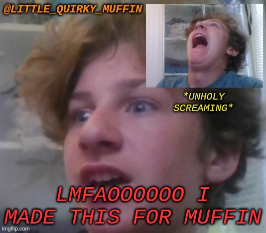 LMFAOOOOOO I MADE THIS FOR MUFFIN | made w/ Imgflip meme maker