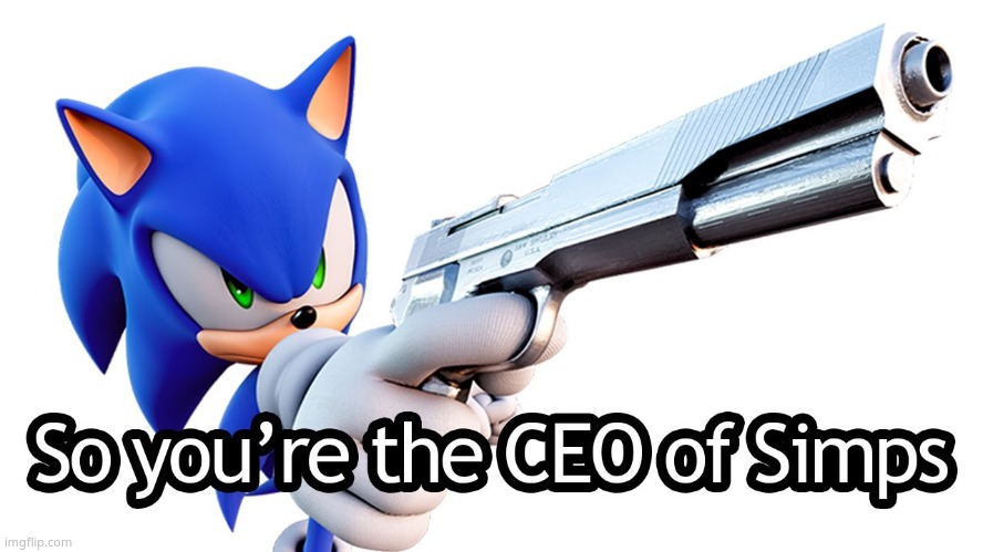 more sonic lol | image tagged in e | made w/ Imgflip meme maker