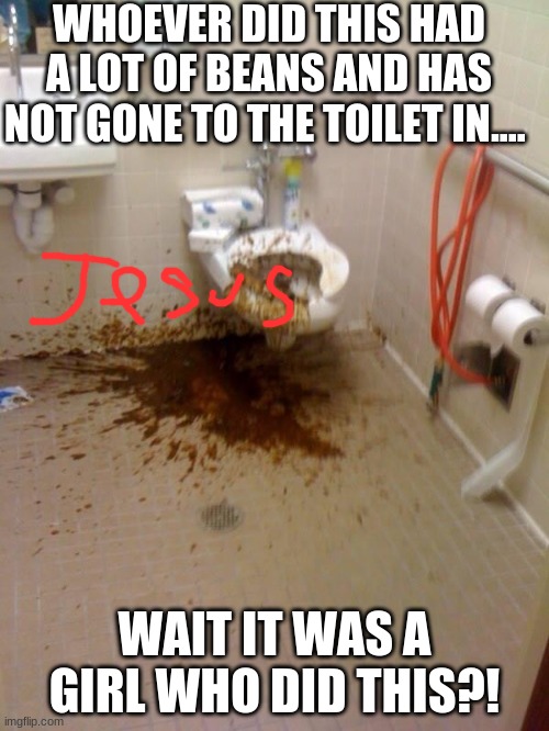 Girls poop too | WHOEVER DID THIS HAD A LOT OF BEANS AND HAS NOT GONE TO THE TOILET IN.... WAIT IT WAS A GIRL WHO DID THIS?! | image tagged in girls poop too | made w/ Imgflip meme maker
