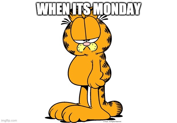 Grumpy Garfield | WHEN ITS MONDAY | image tagged in grumpy garfield | made w/ Imgflip meme maker