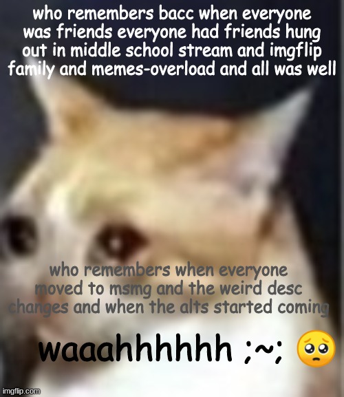 ... I kinda l i k e d those timesssssss | who remembers bacc when everyone was friends everyone had friends hung out in middle school stream and imgflip family and memes-overload and all was well; who remembers when everyone moved to msmg and the weird desc changes and when the alts started coming; waaahhhhhh ;~; 🥺 | made w/ Imgflip meme maker