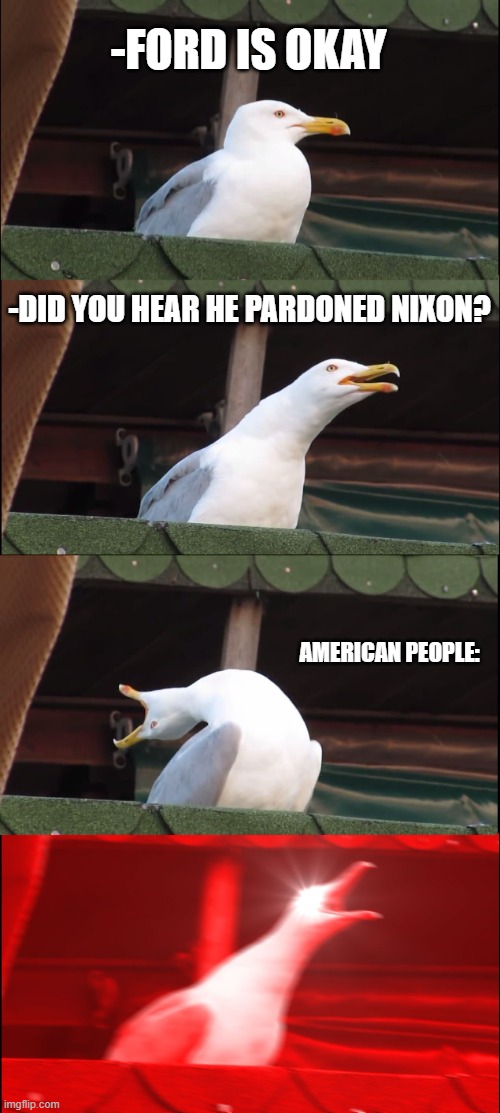 Ford's Reputation | -FORD IS OKAY; -DID YOU HEAR HE PARDONED NIXON? AMERICAN PEOPLE: | image tagged in memes,inhaling seagull | made w/ Imgflip meme maker