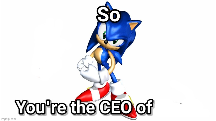 making this a template soon because why the heck not | image tagged in so you're the ceo of | made w/ Imgflip meme maker