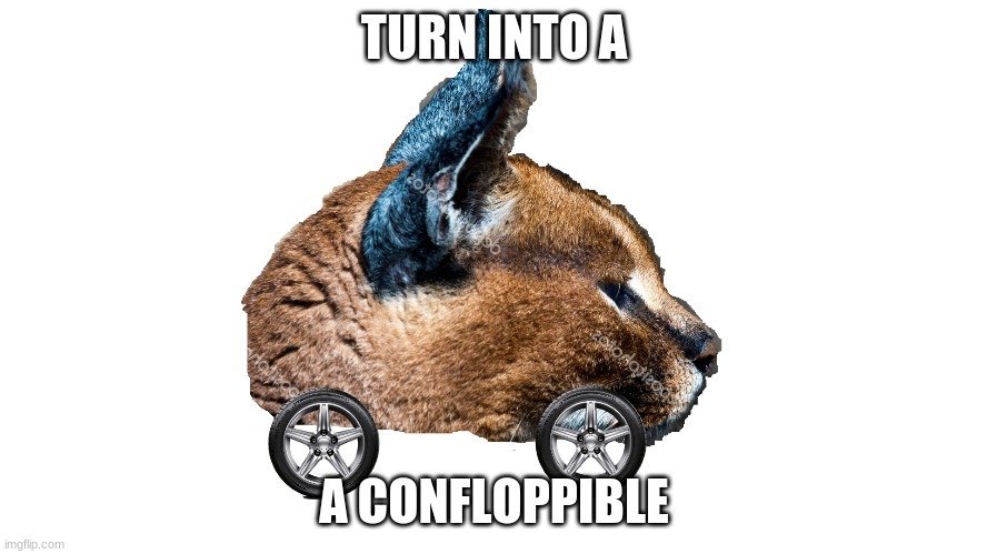 Confloppible | TURN INTO A; A CONFLOPPIBLE | image tagged in confloppible | made w/ Imgflip meme maker