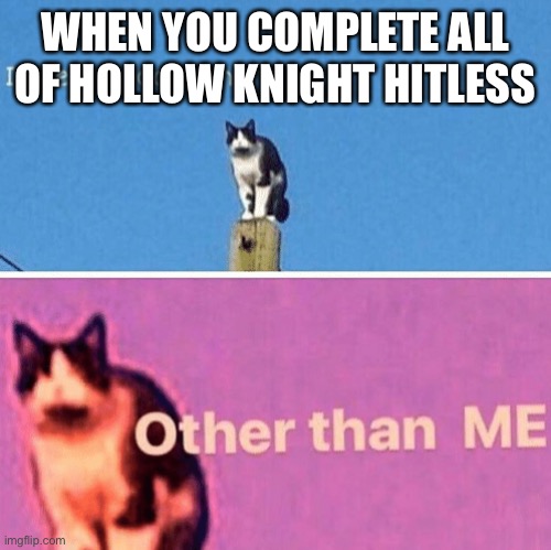 Hail pole cat | WHEN YOU COMPLETE ALL OF HOLLOW KNIGHT HITLESS | image tagged in hail pole cat | made w/ Imgflip meme maker