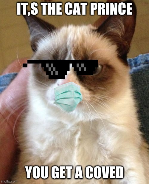 Grumpy Cat | IT,S THE CAT PRINCE; YOU GET A COVED | image tagged in memes,grumpy cat | made w/ Imgflip meme maker