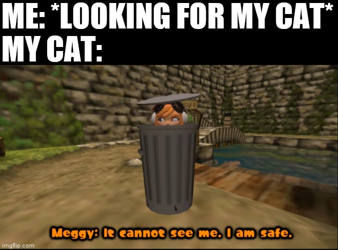 Also New template | ME: *LOOKING FOR MY CAT*
MY CAT: | image tagged in it cannot see me i am safe | made w/ Imgflip meme maker
