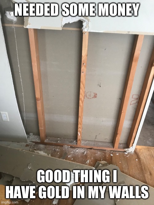 Wood is expensive | NEEDED SOME MONEY; GOOD THING I HAVE GOLD IN MY WALLS | image tagged in expensive | made w/ Imgflip meme maker