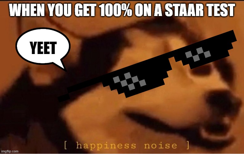 when you pass the staar test | WHEN YOU GET 100% ON A STAAR TEST; YEET | image tagged in happines noise | made w/ Imgflip meme maker