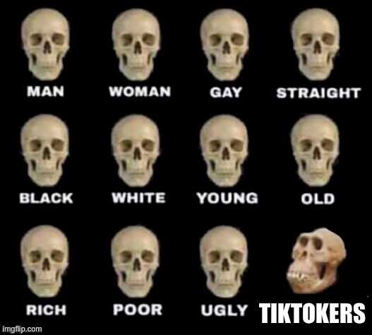 idiot skull | TIKTOKERS | image tagged in idiot skull | made w/ Imgflip meme maker