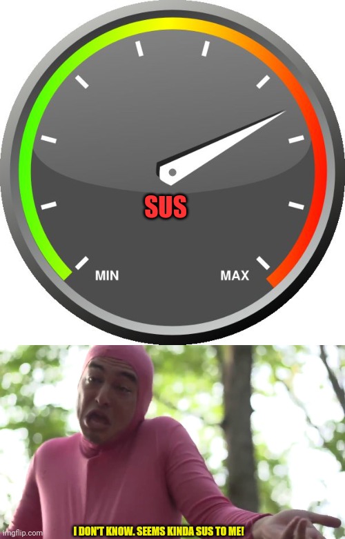 SUS I DON'T KNOW. SEEMS KINDA SUS TO ME! | image tagged in meter,i don't know seems kinda gay to me | made w/ Imgflip meme maker