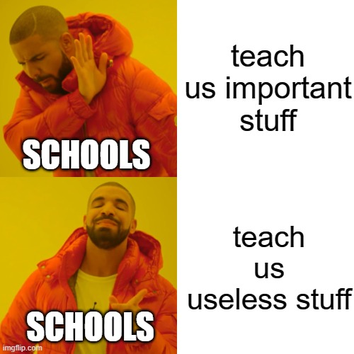 lol | teach us important stuff; SCHOOLS; teach us useless stuff; SCHOOLS | image tagged in memes,drake hotline bling | made w/ Imgflip meme maker