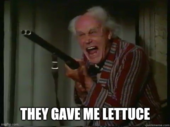 Crazy Guy with Shotgun | THEY GAVE ME LETTUCE | image tagged in crazy guy with shotgun | made w/ Imgflip meme maker
