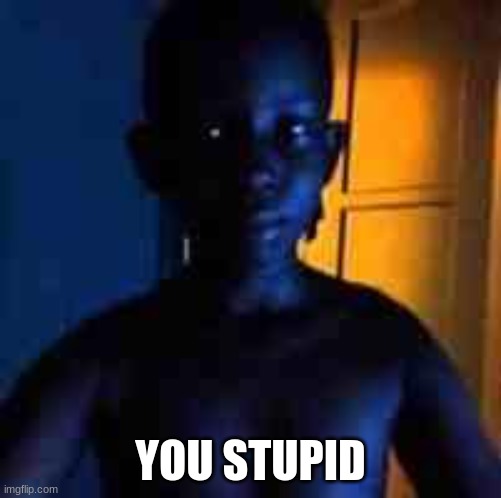 you stupid | YOU STUPID | image tagged in you stupid | made w/ Imgflip meme maker