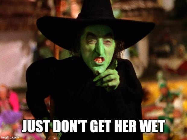 wicked witch  | JUST DON'T GET HER WET | image tagged in wicked witch | made w/ Imgflip meme maker