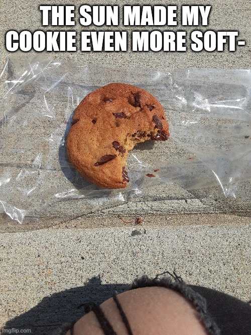WaS tAkEn EaRlIeR | THE SUN MADE MY COOKIE EVEN MORE SOFT- | made w/ Imgflip meme maker