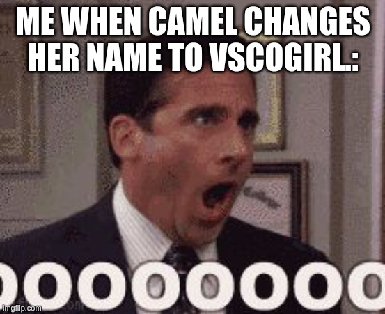 NO CAMEL WHY | ME WHEN CAMEL CHANGES HER NAME TO VSCOGIRL.: | image tagged in oh god no | made w/ Imgflip meme maker