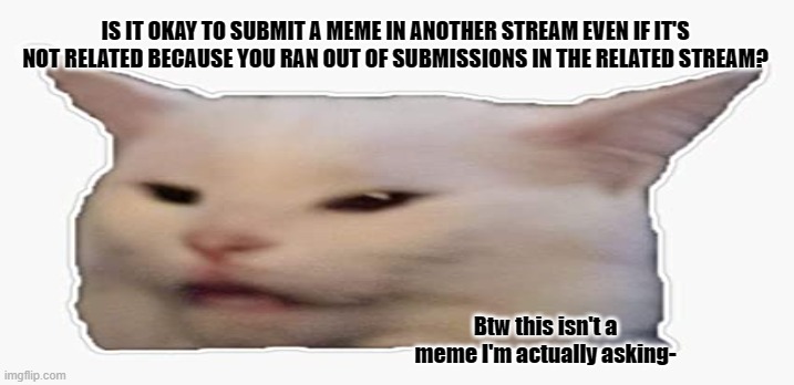 Is it? | IS IT OKAY TO SUBMIT A MEME IN ANOTHER STREAM EVEN IF IT'S NOT RELATED BECAUSE YOU RAN OUT OF SUBMISSIONS IN THE RELATED STREAM? Btw this isn't a meme I'm actually asking- | image tagged in cats,question | made w/ Imgflip meme maker