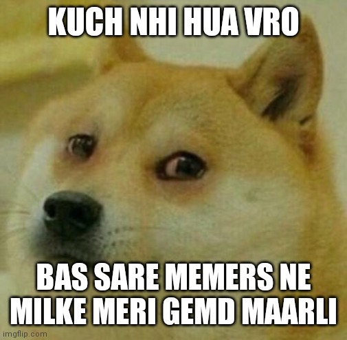 high doge | KUCH NHI HUA VRO; BAS SARE MEMERS NE MILKE MERI GEMD MAARLI | image tagged in high doge | made w/ Imgflip meme maker