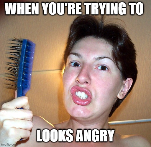 not credible angry brush | WHEN YOU'RE TRYING TO; LOOKS ANGRY | image tagged in angry brush | made w/ Imgflip meme maker
