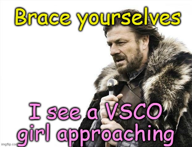 . | Brace yourselves; I see a VSCO girl approaching | image tagged in memes,brace yourselves x is coming | made w/ Imgflip meme maker