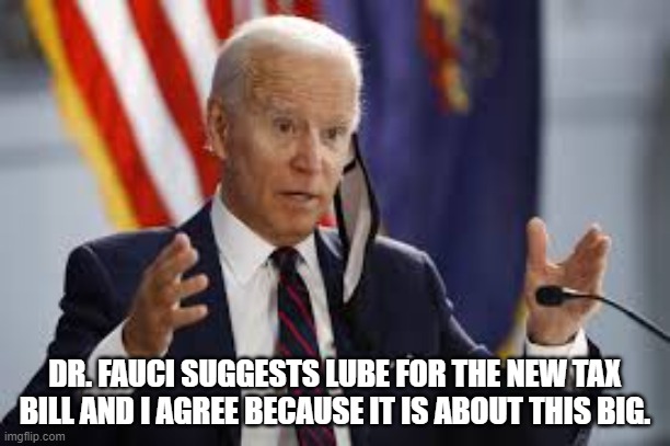 Biden tax bill | DR. FAUCI SUGGESTS LUBE FOR THE NEW TAX BILL AND I AGREE BECAUSE IT IS ABOUT THIS BIG. | image tagged in income taxes,joe biden,dr fauci | made w/ Imgflip meme maker