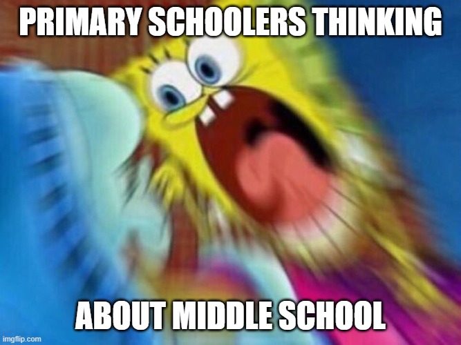 Triggered Screaming Spongebob | PRIMARY SCHOOLERS THINKING ABOUT MIDDLE SCHOOL | image tagged in triggered screaming spongebob | made w/ Imgflip meme maker