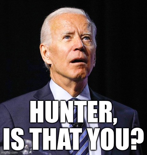 Joe Biden | HUNTER, IS THAT YOU? | image tagged in joe biden | made w/ Imgflip meme maker