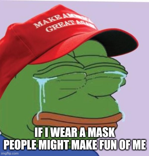 Sad MAGA Pepe | IF I WEAR A MASK PEOPLE MIGHT MAKE FUN OF ME | image tagged in sad maga pepe | made w/ Imgflip meme maker