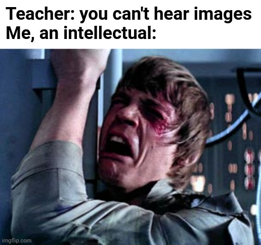 This is true | Teacher: you can't hear images
Me, an intellectual: | image tagged in luke skywalker noooo,funny,star wars,you cant hear images,teacher,meme man smort | made w/ Imgflip meme maker