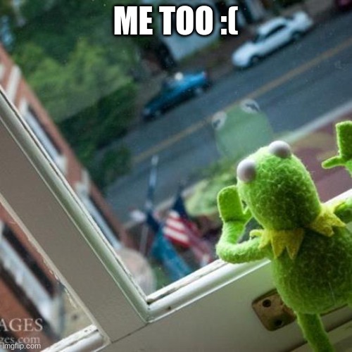 Kermit sad | ME TOO :( | image tagged in kermit sad | made w/ Imgflip meme maker