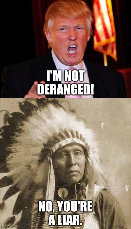 Donald Trump and Native American | I'M NOT DERANGED! NO, YOU'RE A LIAR. | image tagged in donald trump and native american | made w/ Imgflip meme maker