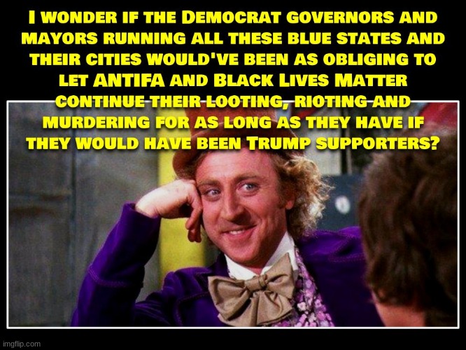 I think we already know what the answer to that question would be. | image tagged in black lives matter,domestic terrorists,anti-semite and a racist,politics,political | made w/ Imgflip meme maker